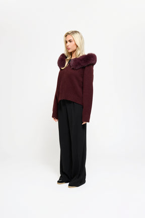 Cardigan Cheval