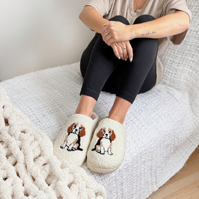 Pantufas Cavalier King Charles