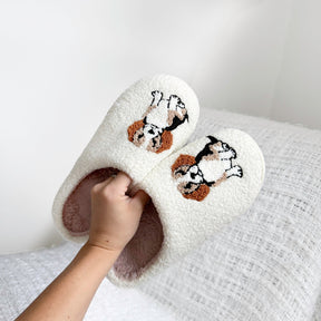 Pantufas Cavalier King Charles